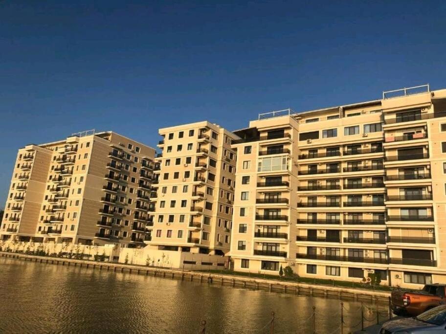 Apartment - Solid *